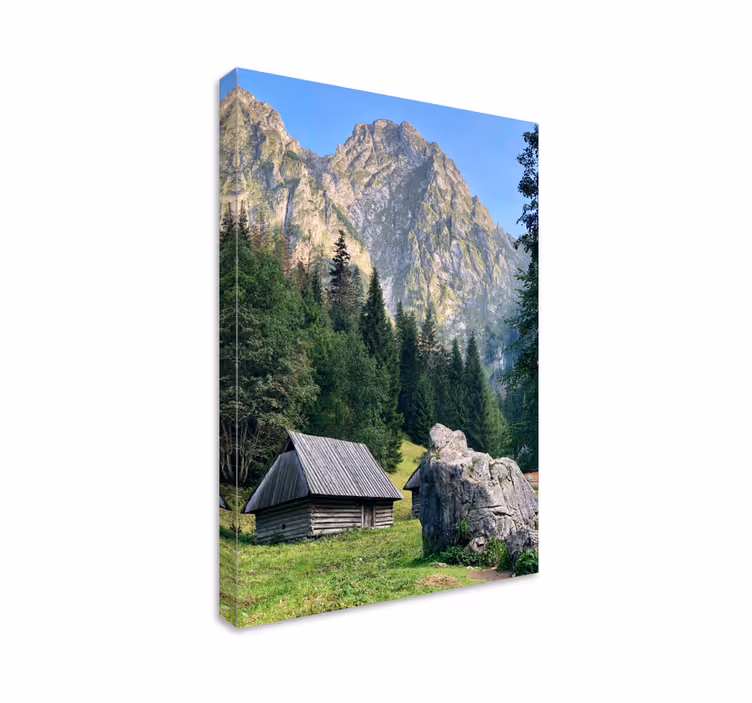 Obraz panoráma horská lesná scenéria - Tenstickers