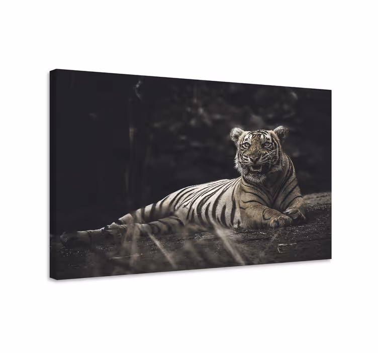 Obraz zvierat majestátneho tigra odpočívajúceho - Tenstickers