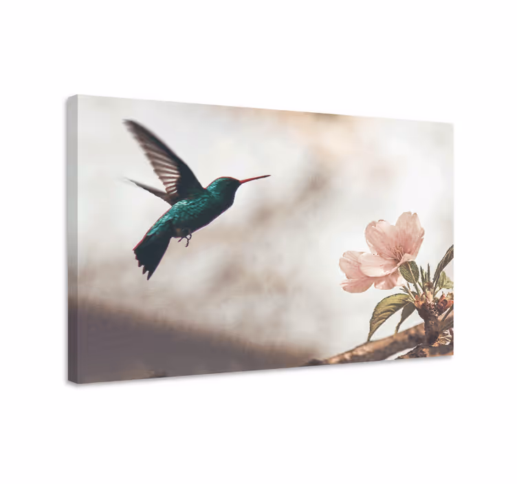 Obraz na stenu vtáky kolibrík a kvety - Tenstickers