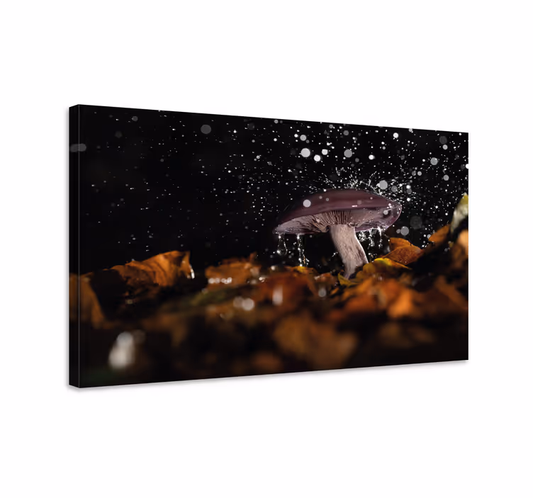 Obraz na stenu rastliny huba v rozpráške - Tenstickers