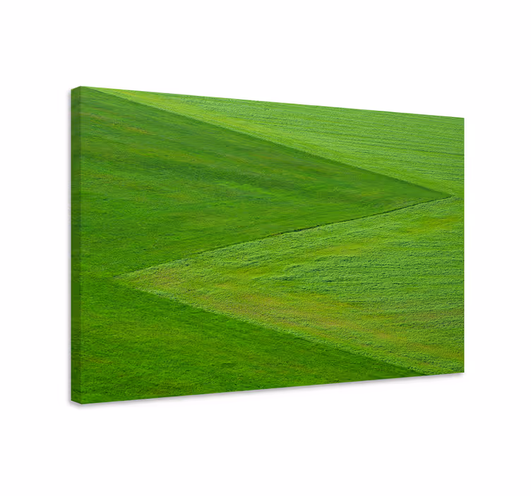 Obraz panoráma bujnej zelenej krajiny - Tenstickers
