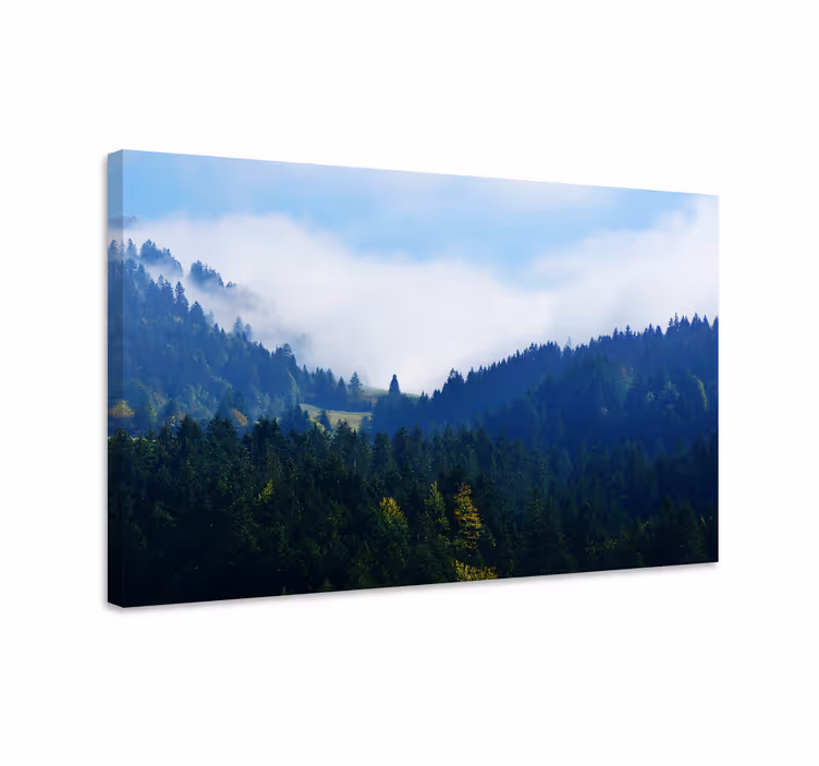 Obraz panoráma majestátne lesné vrchy - Tenstickers