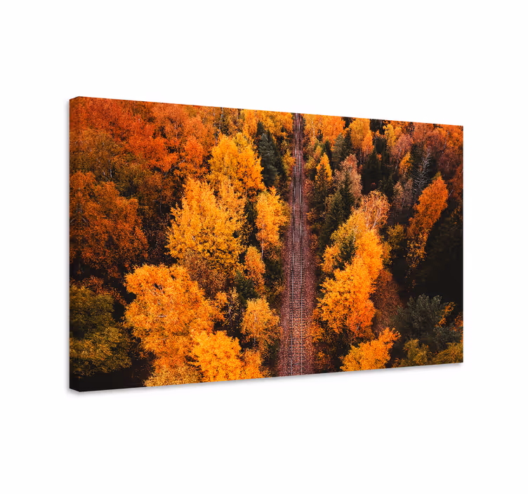 Obraz panoráma cesta jesenného lístia - Tenstickers