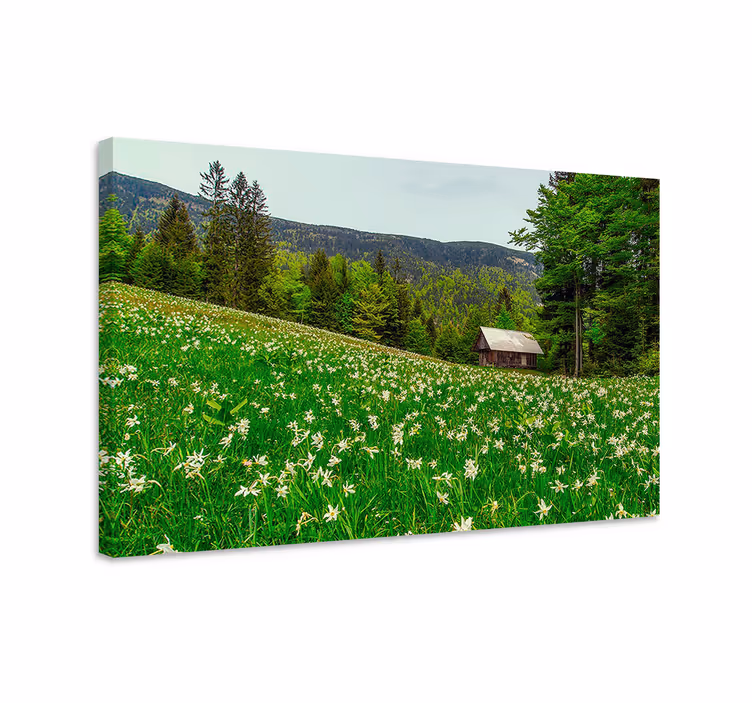 Obraz panoráma čarovná chalupa na vidieku - Tenstickers