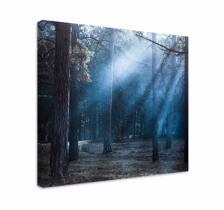 Obraz panoráma záhadná lesná cesta - Tenstickers