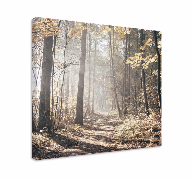 Obraz panoráma cesta zahalená hmlou - Tenstickers