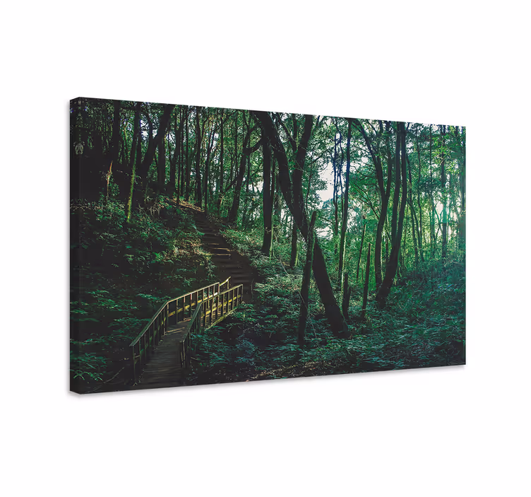 Obraz panoráma lesná cesta - Tenstickers