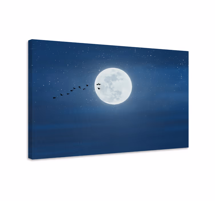 Obraz panoráma mesiac v letu - Tenstickers