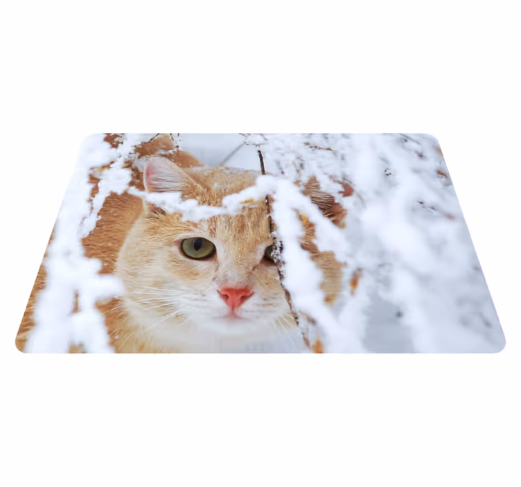 Vinylové koberce zvieratá mačka so stalaktitom - Tenstickers