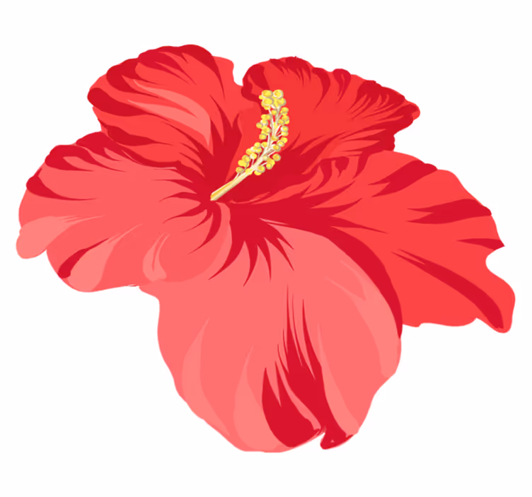 Vinylový koberec s kvetmi červeného hibiscu - Tenstickers