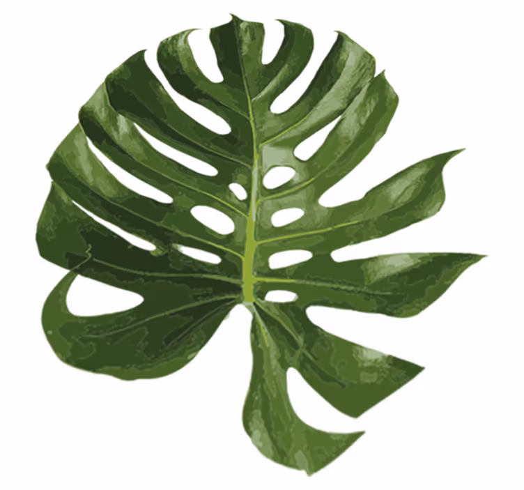 Vinylový koberec s kvetmi chutného monstera listu - Tenstickers