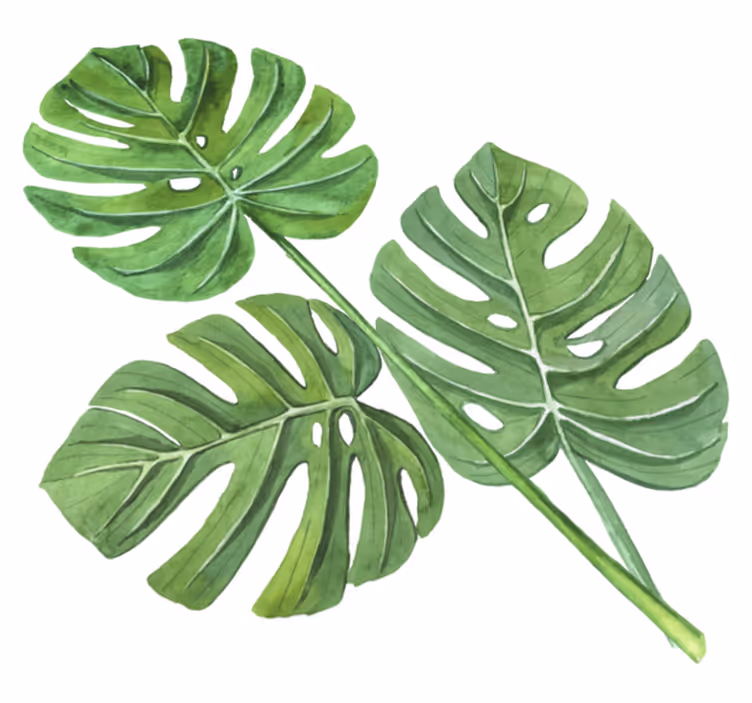 Vinylový koberec s kvetmi monstera akvarel listy - Tenstickers