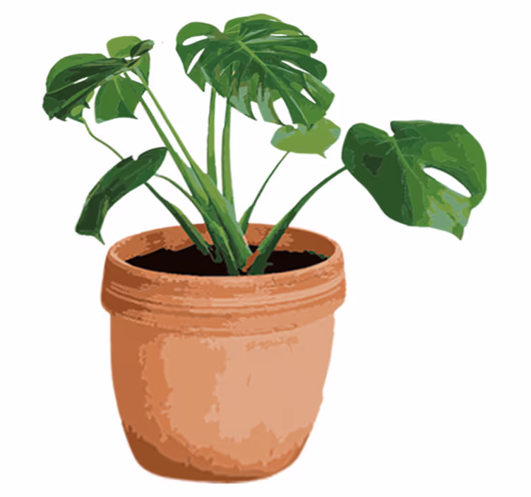 Vinylový koberec s kvetmi jednoduchý kvetináč monstera - Tenstickers