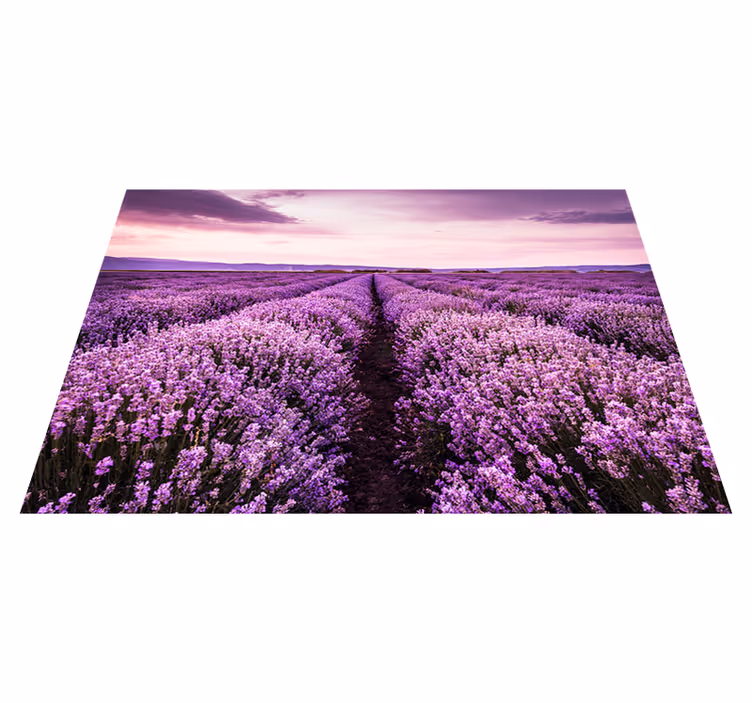 Fialový vinylový koberec levanduľové kvety v provencii - Tenstickers