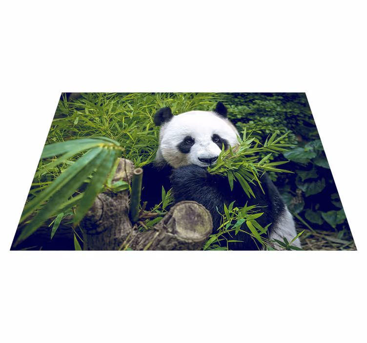 Zelený vinylový koberec roztomilá panda - Tenstickers