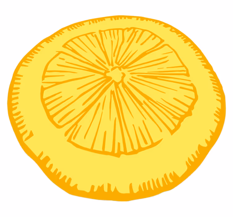 vinylový koberec do kuchyne plátok žltého citrusu - Tenstickers