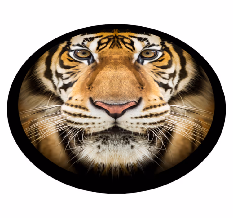 vinylové koberce zvieratá detailný záber na tigra - Tenstickers