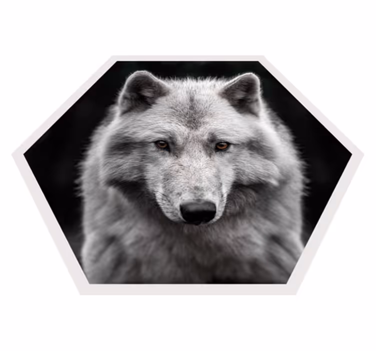 Alfa vlk na čiernom zvieracom koberci - Tenstickers