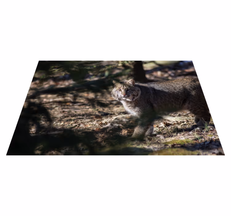 Vinylový koberec pre divoké mačky - Tenstickers