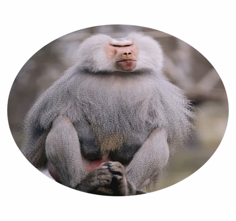 Zvierací cool opičí vinylový koberec - Tenstickers