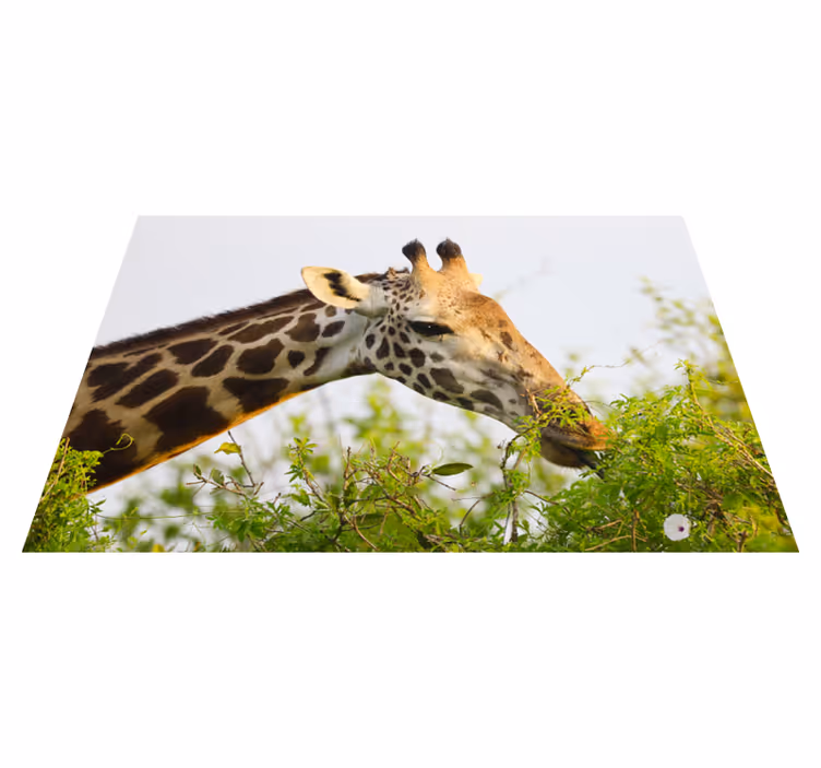 Vinylový koberec vysokej žirafy zvieraťa - Tenstickers