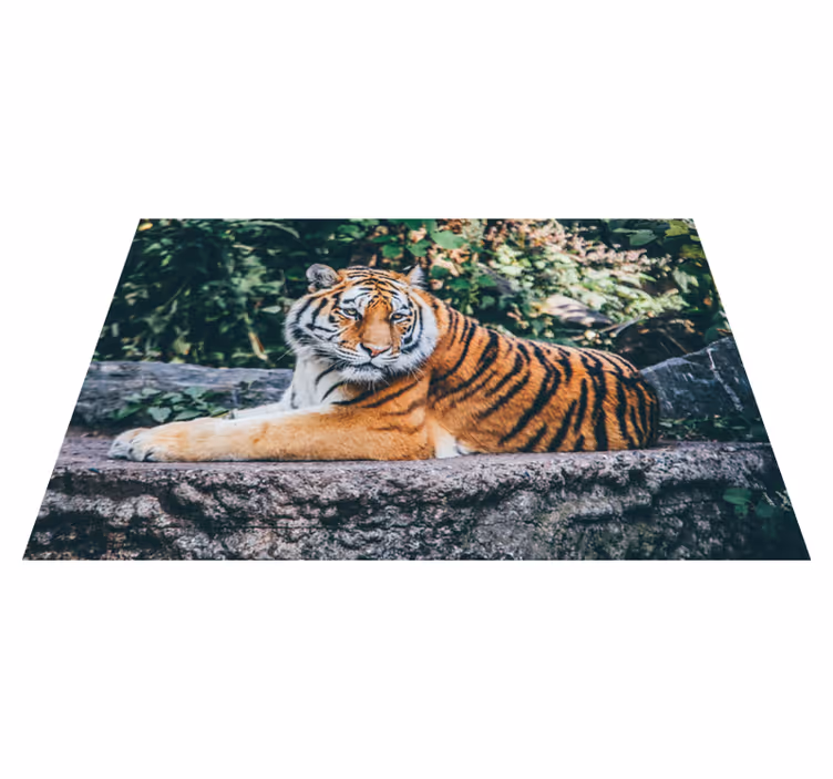 vinylové koberce zvieratá majestátny ležiaci tiger - Tenstickers