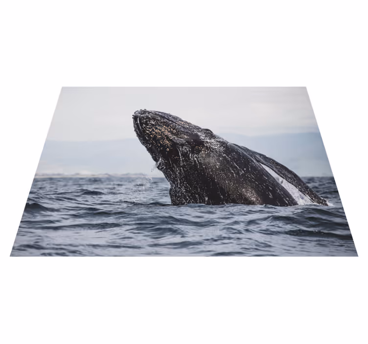 prírodný vinylový koberec majestátny skok veľryby - Tenstickers