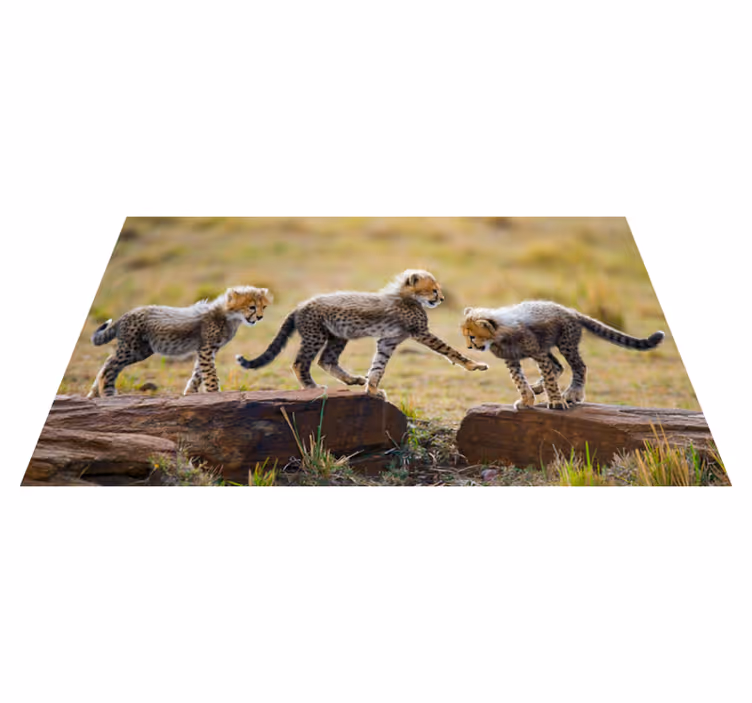 Zviera roztomilý gepard mláďatá zviera koberec - Tenstickers