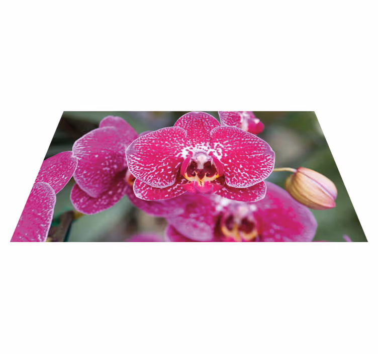 Fialová orchidea detailný kvetinový koberec - Tenstickers