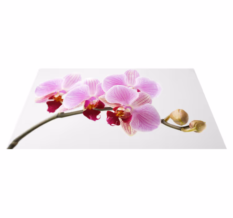 vinylový koberec s kvetmi dizajn ružovej orchidey - Tenstickers