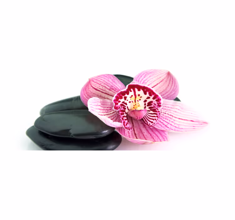 vinylový koberec s kvetmi orchidea a kamene - Tenstickers