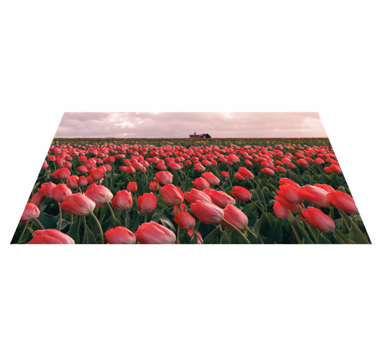 Kvetinový vinylový koberec červený ružový tulipán - Tenstickers