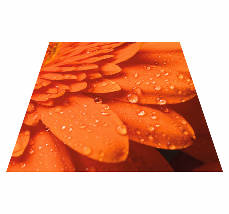 vinylový koberec s kvetmi jasne oranžové okvetné lístky - Tenstickers