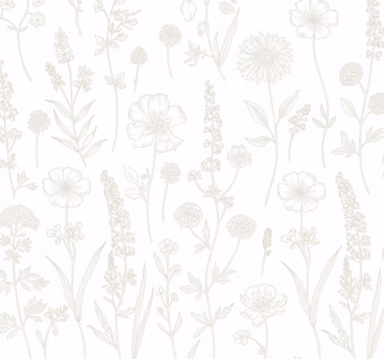 Tapety do obývačky botanická skica cesty - Tenstickers
