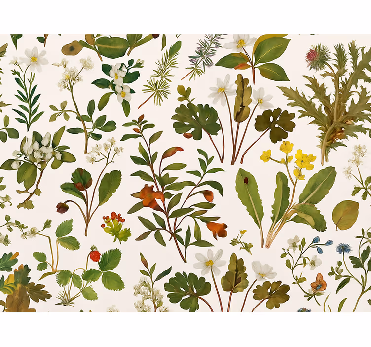 Tapety do spálne s botanickým dizajnom na bielom pozadí - Tenstickers