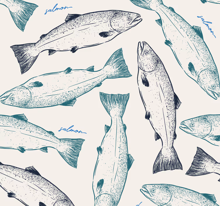 Losos ryby zviera tapety - Tenstickers