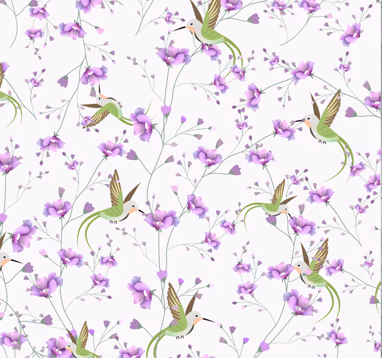 Farebné kolibrík šedá zviera tapety - Tenstickers