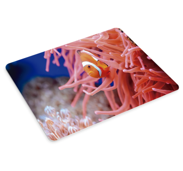 Podložka pod myš pre ryby z clownfish - Tenstickers