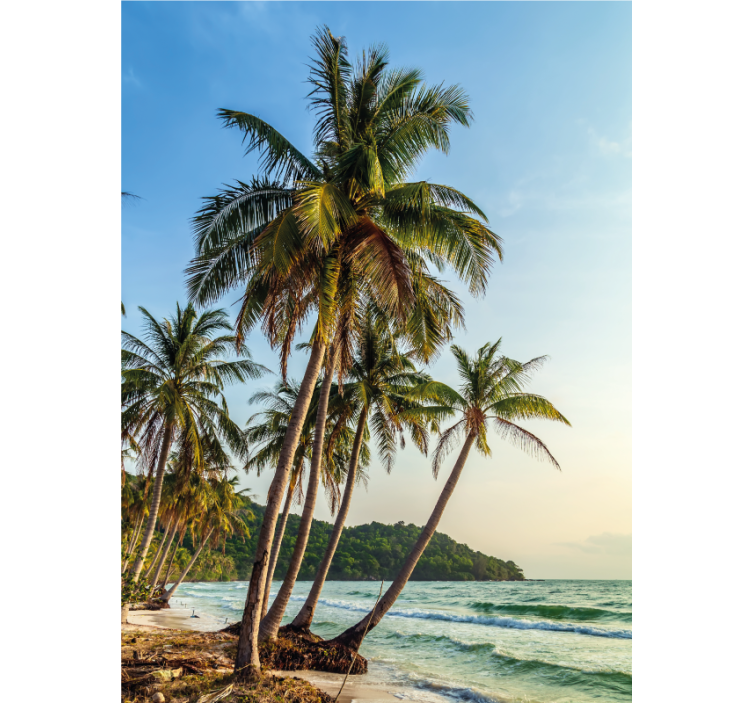 roleta do kúpelne palmy na pláži - Tenstickers