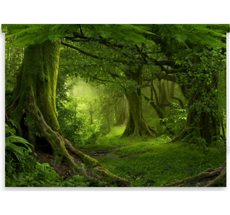 Roleta stomy zelený lesný únik - Tenstickers