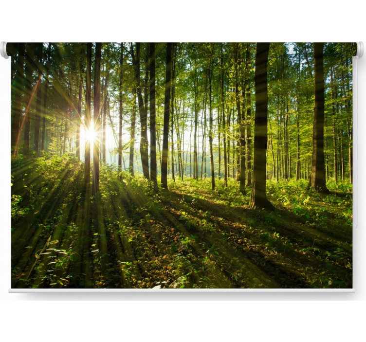 Roleta stomy zlaté slnečné drevo - Tenstickers