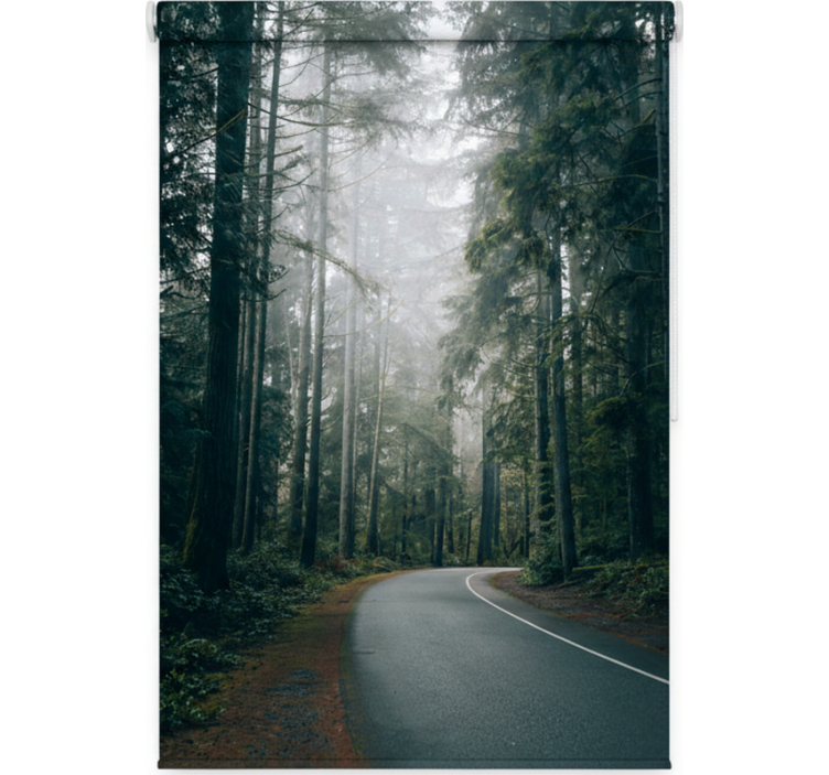 Roleta stomy závojová borovicová cesta - Tenstickers