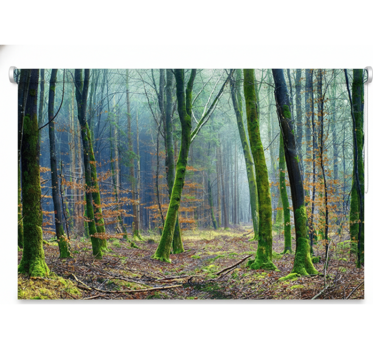 Roleta stomy hmlistý les japandi - Tenstickers