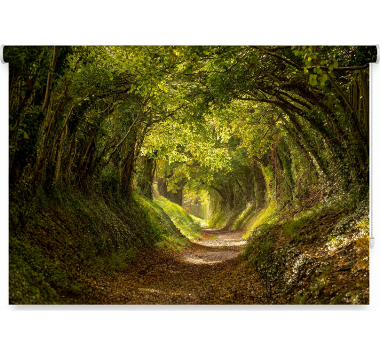 Roleta stomy ponorený lesný mural - Tenstickers