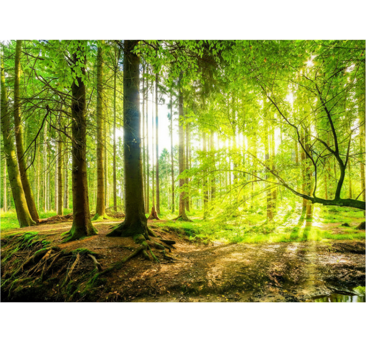 Roleta stomy vysokohorská zelená dolina - Tenstickers