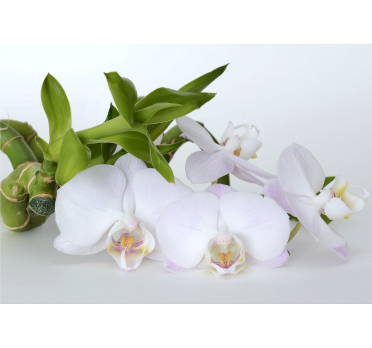 Biela roleta bielej zelenej orchidey - Tenstickers