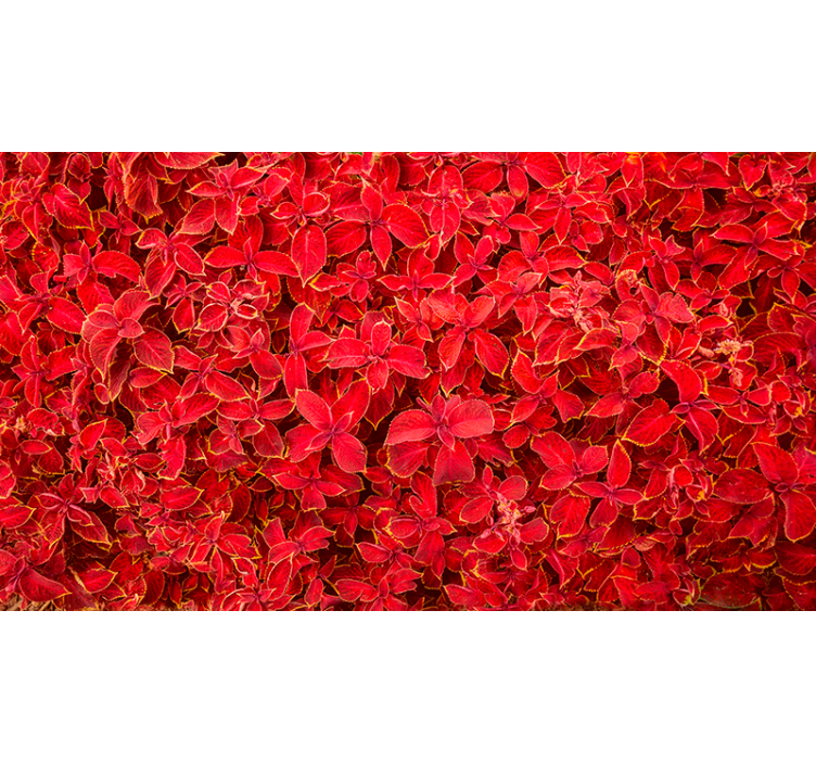 Červená roleta s kvetinovým vzorom - Tenstickers