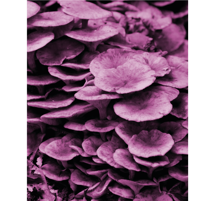 roleta na okno kvety živé kvetinové vrstvy - Tenstickers