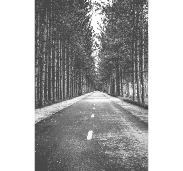 Roleta na okno pokojná lesná cesta - Tenstickers