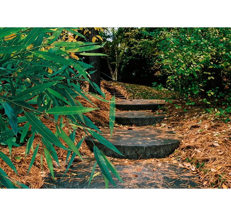 3d lesná a malá cesta originálna roleta - Tenstickers